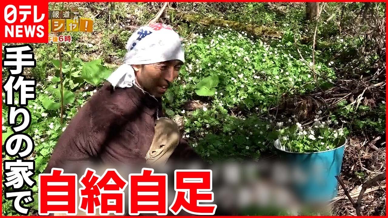 【密着】「地球に優しい」生き方を選んだ3人家族…電気もガスも水道も契約せず