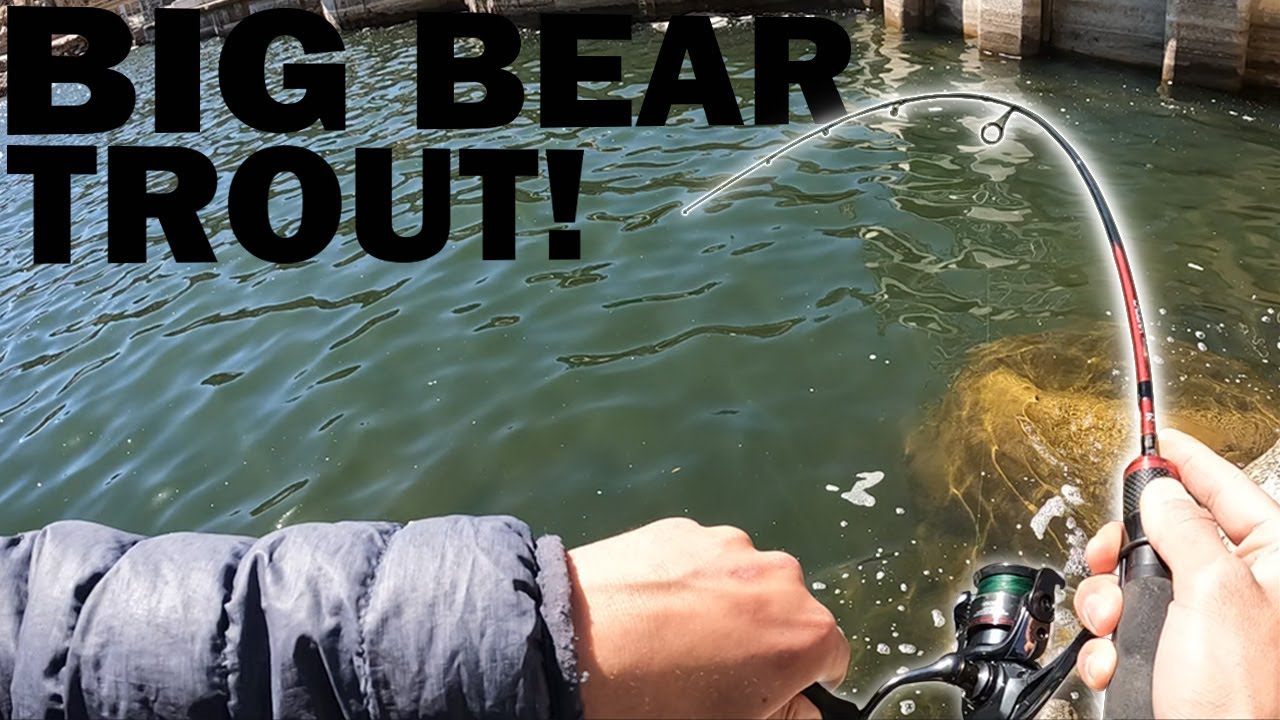 Trout Fishing Big Bear Lake+Catch and Cook