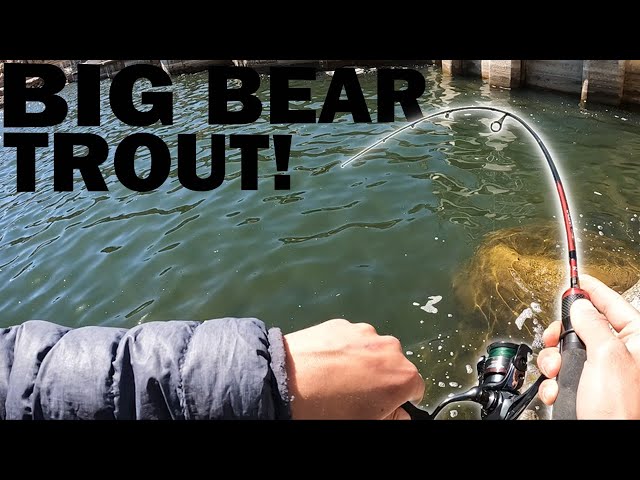 big bear fishing pole Pull Over Hoody Big Bear Rods Trout Fishing Big Bear Lake+Catch