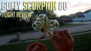 GoFly Scorpion 80 Brushless 2s Whoop Flight Review