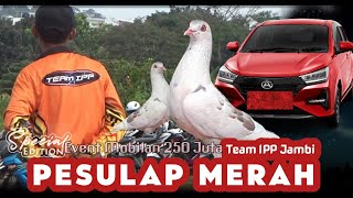SPESIAL EDITION || PESULAP MERAH Team IPP Jambi‼️Shoot nya gak ketahan💥💥#pesulapmerah