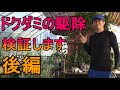 [ガーデニング] ドクダミ駆除後編「キャリア28年のプロガーデナーが検証するドクダミの駆除方法」