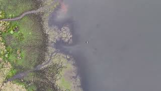 OAK VALLEY NJ