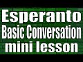 Esperanto basic conversation (mini lesson)