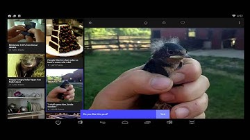 Imgur: Awesome Images & GIFs