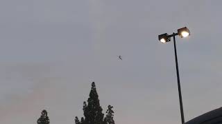 El Cajon Police Suspect Search with Helicopter pt.2