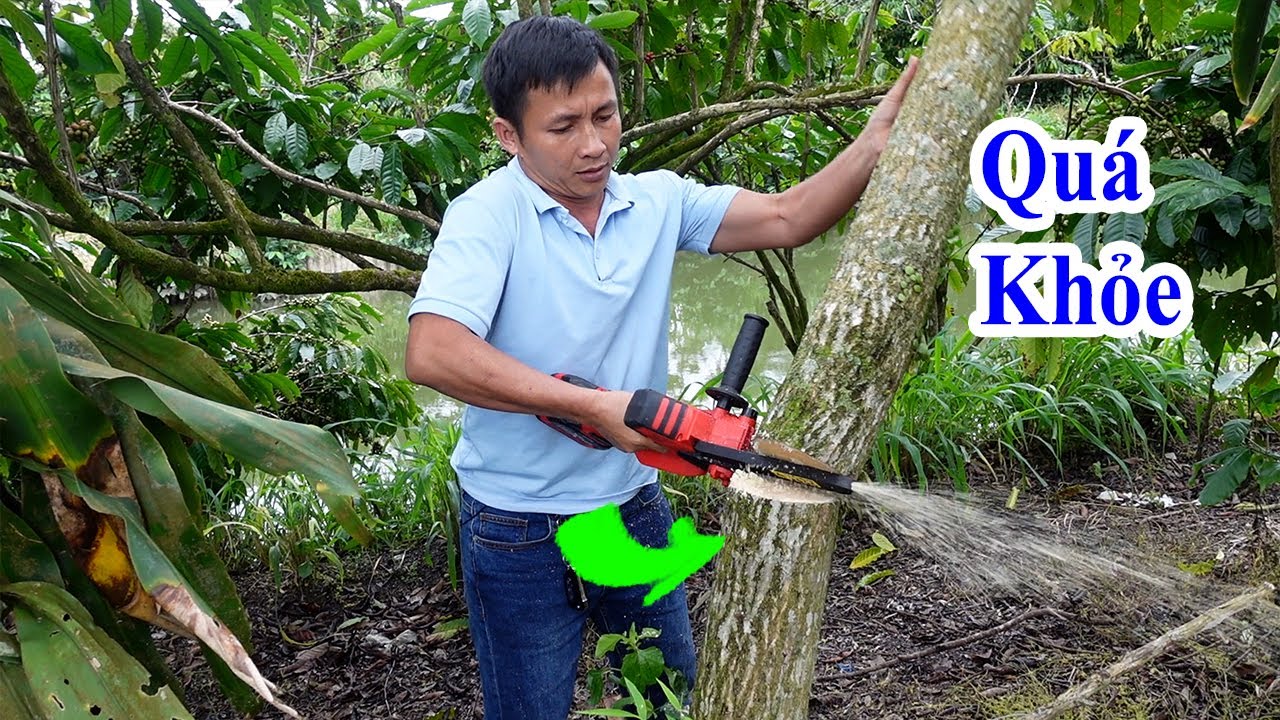 bạn sẽ tiết kiệm được rất nhiều sức lực và thời gian nếu sở hữu con máy cưa xích pin kingblue này