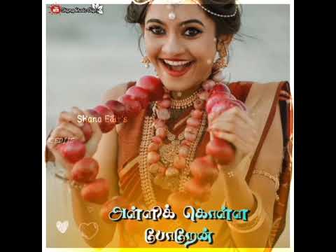 serial actress dhanya paravoor serial actress dhanya paravoor