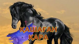 картинка: ҚАШАҒАН ҚАРА (Аудиокітап)