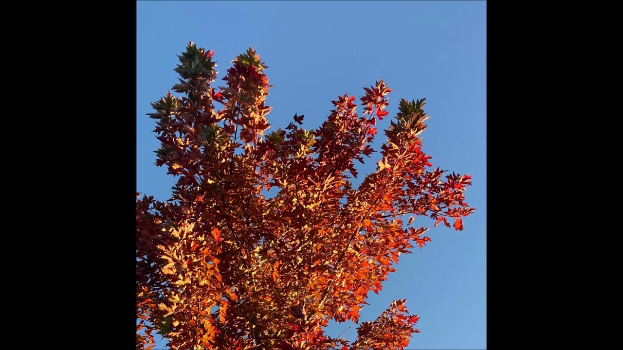 Watch Pub - Autumn (Full Album) on YouTube Watch Pub - Autumn (Full Album) on YouTube