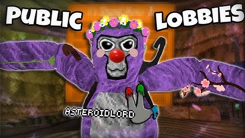 Ik heb stiekem OP MODS gebruikt in PUBLIEKE LOBBY