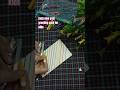 Easy new year greeting card for kids #ne#greeting card #youtube shorts