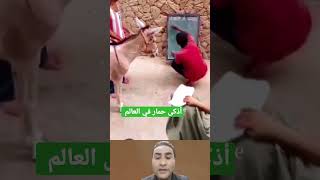 أذكى حمار في العالم #shorts