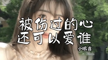 小眼鑫 - 被伤过的心还可以爱谁 (抖音DJ版) Trái Tim Bị Tổn Thương Liệu Còn Có Thể Yêu Ai (Remix)『被伤过的心还可以爱谁，没人心疼的滋味』