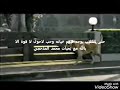 خيانه زوجه كلب 