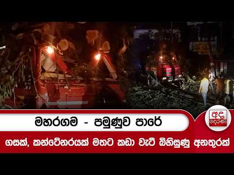 මහරගම - පමුණුව පාරේ ගසක්, කන්ටේනරයක් මතට කඩා වැටී බිහිසුණු අනතුරක් | Ada Derana