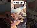 table saw workbenche