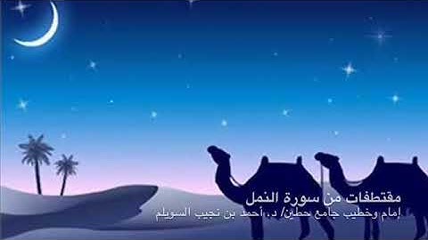 تلاوة محبرةٌ من "سورة النمل"، لإمام وخطيب جامع حطين/ د. أحمد السويلم