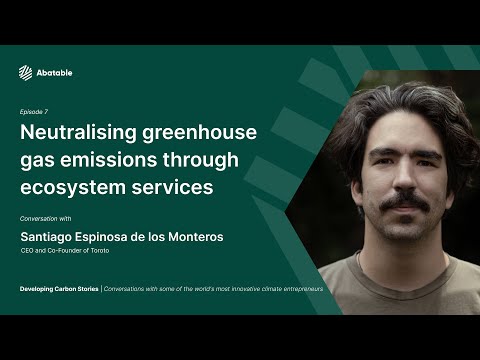Developing Carbon Stories