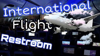 Inside of an International Airplane Restroom #travel #airplane #international #flying #plane #vlogs