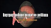 Олександр Вільчинський