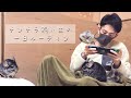 チンチラと暮らす一日ルーティン【チンチラの飼い方】