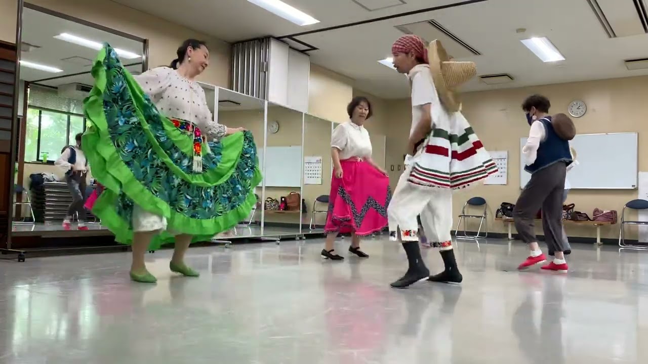 フォークダンス　メキシコダンス用スカートのみ手作り フォークダンス 2008年の紹介コスチューム（世界の民族衣装）