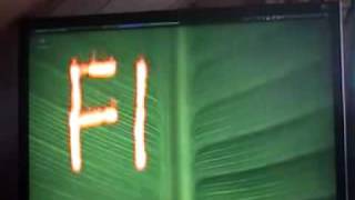 Compiz Fusion: A Quick Demonstration