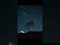 갤럭시 S23울트라로 야밤에 1시간 촬영했더니.. #shorts #반바지