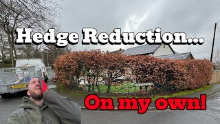 Solo Beech Hedge Reduction 2 Hours Of Hedge Cutting Garden Graft Uk Gardener