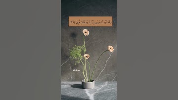آية ٢٣ "ولقد أرسلنا موسى بآياتنا وسلطان مبين" من سورة غافر