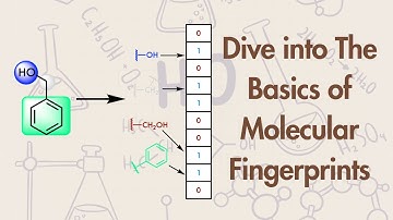 From Molecules to Patterns: Understanding Molecular Fingerprints