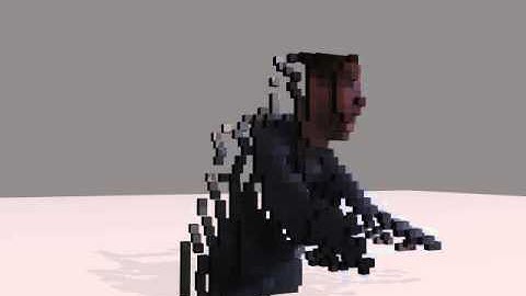 voxel human falls apart