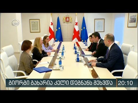 გიორგი გახარია კელი დეგნანს შეხვდა