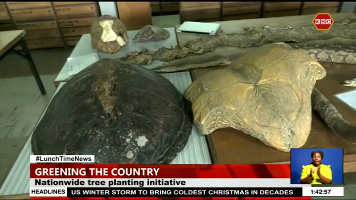 Nationwide tree planting initiative launched