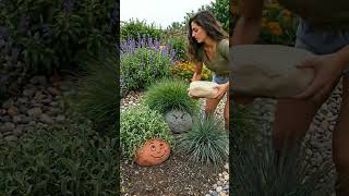 Easy DIY Garden Rock Face Idea — Turn a Stone Into a Living Hairy Character 🌿😄 #diy #shorts