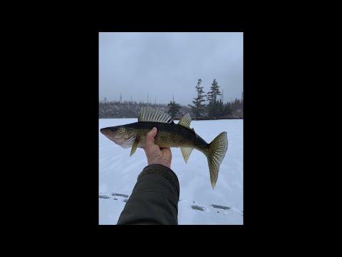 Video: On The First Snow. Fishing In November