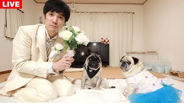 ㊗️結婚披露宴会場はこちらです！