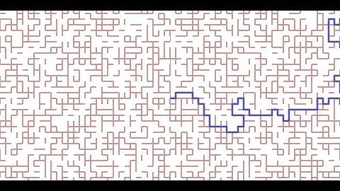 The Percolation Model