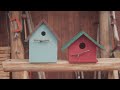 Making birdhouses | 鳥の巣箱を作る