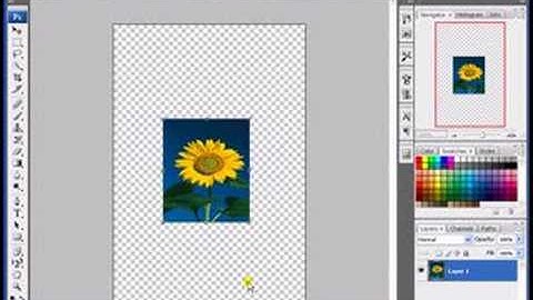 Photoshop Lesson 23 Edit Skew Distort