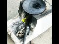 VILLAGERS 😉🗿 #ytshorts #indian #viralnews
