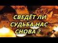 Сведет ли судьба нас снова?