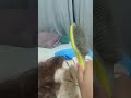 o CLT n cooperou com a última kkkkkk