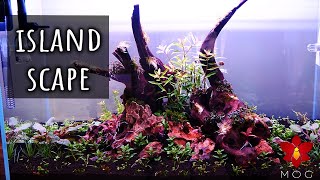Making an Island Aquascape  Trying the dark start method (does it work? )