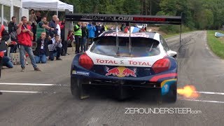 Pikes Peak Special | Loeb Peugeot 208 T16, 405 T16, Audi S1, Norma MXX RD Limited,