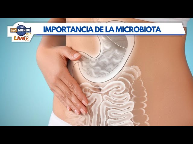 ¿Qué es la microbiota y por qué deberíamos conocerla? - El Mundo de Cabeza