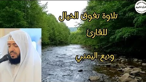 سورة القلم تلاوة تبكي الحجر.. للقارئ وديع اليمني