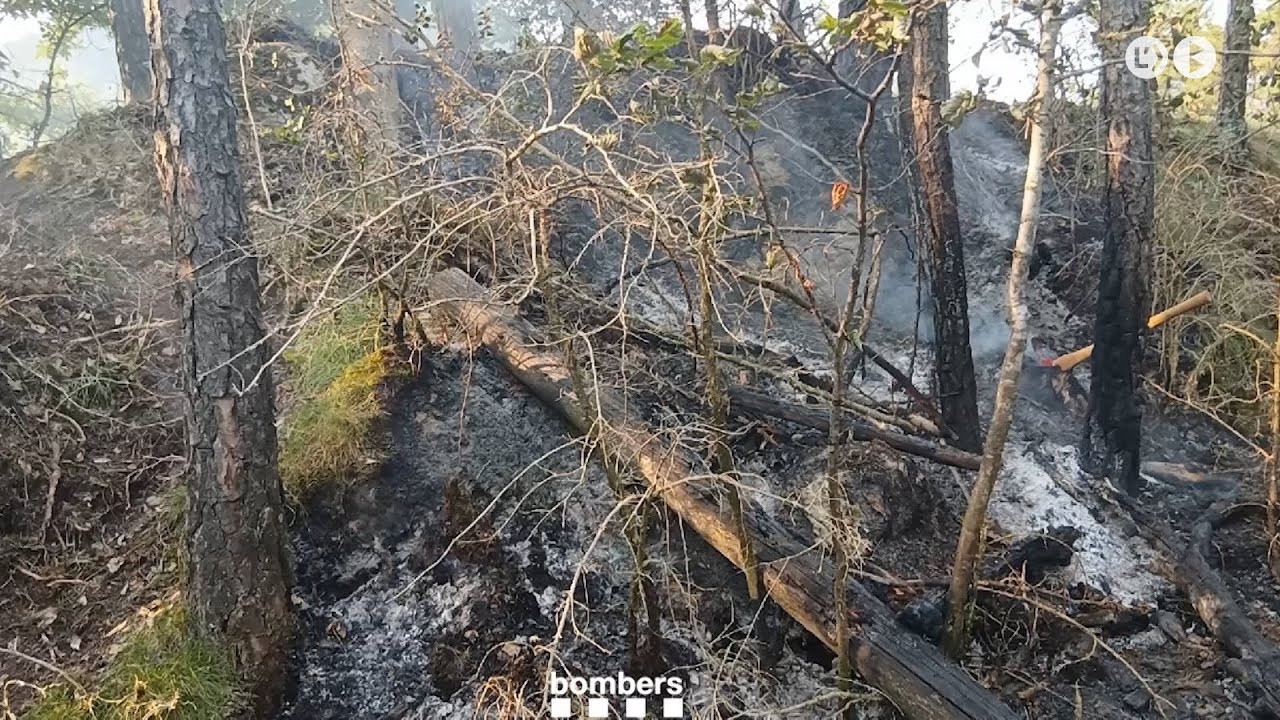 Ensurt per un incendi forestal a La Pobla de Lillet
