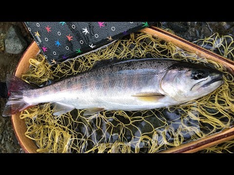 【釣り】 トラウト ヤマメ イワナ SHIRATAKI川水系 Japan Fishing 東北 岩手 青森 ルアー - 【釣り】 トラウト ヤマメ イワナ SHIRATAKI川水系 Japan Fishing 東北 岩手 青森 ルアー